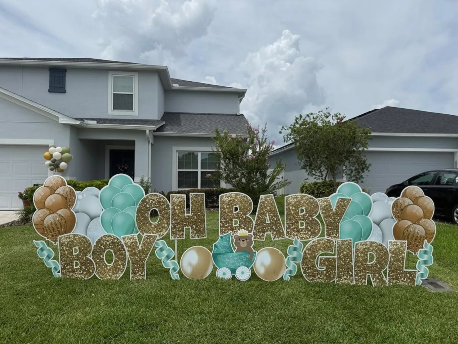 New baby yard greeting display
